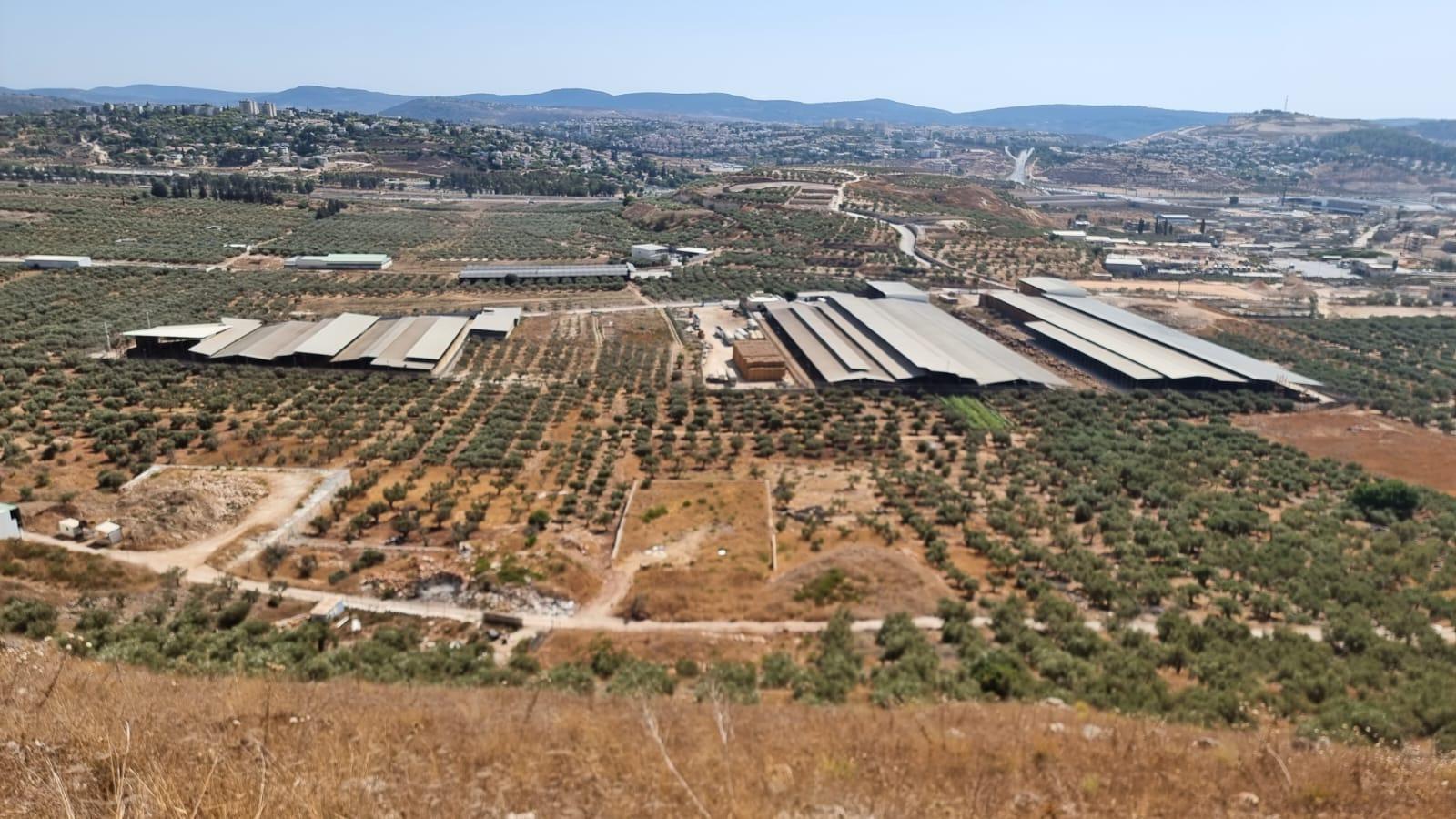 منطقة البعنة (تصوير رفيق بكري)