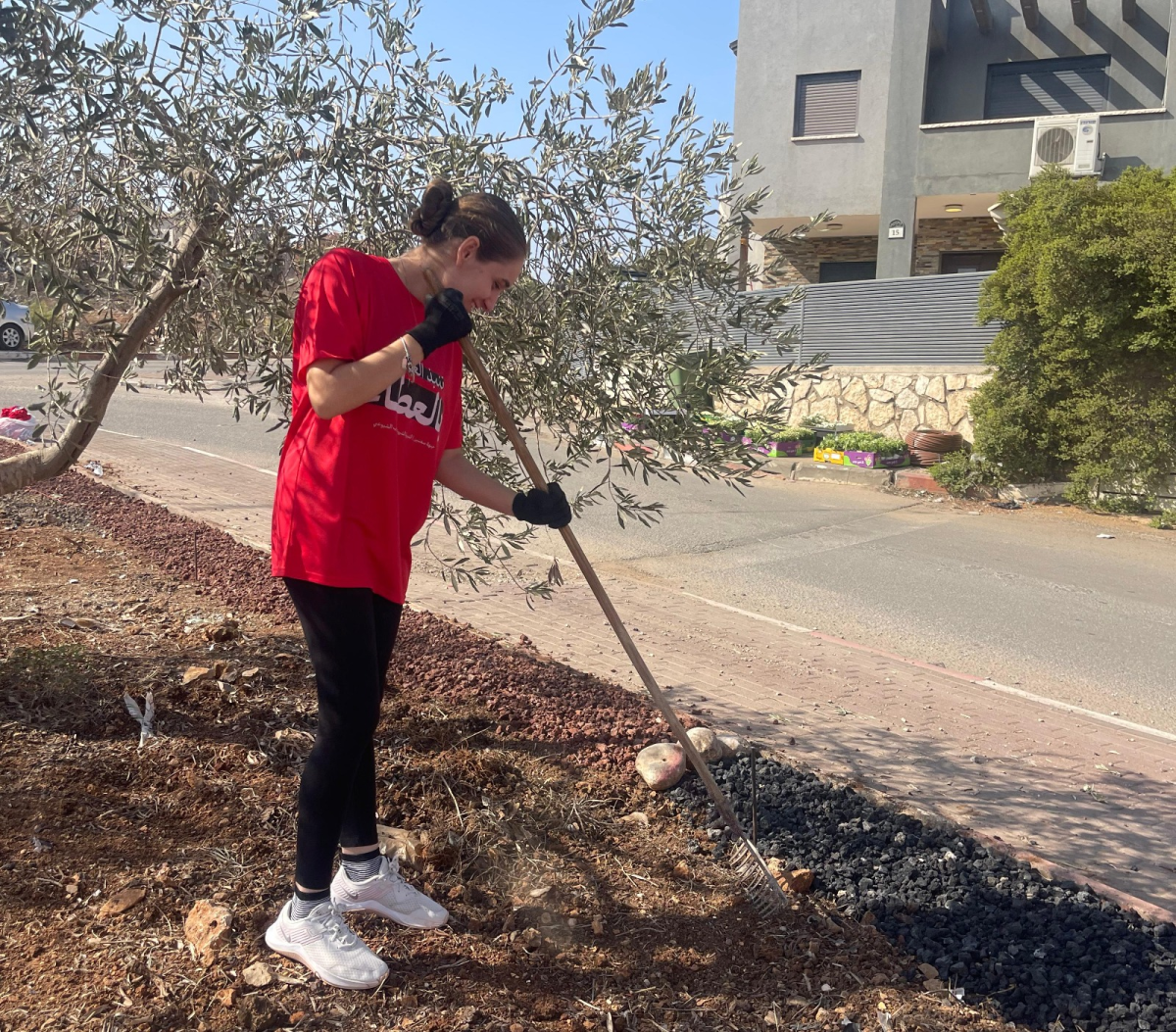 تحت شعار ننبذ العنف بالعطاء: جبهة سخنين تبدأ سلسلة أعمال تطوعية من شارع توفيق زياد