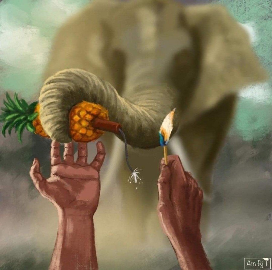 الفيل والأناناس المفخخ - رسوم احتجاجيّة على مواقع التواصل الاجتماعي