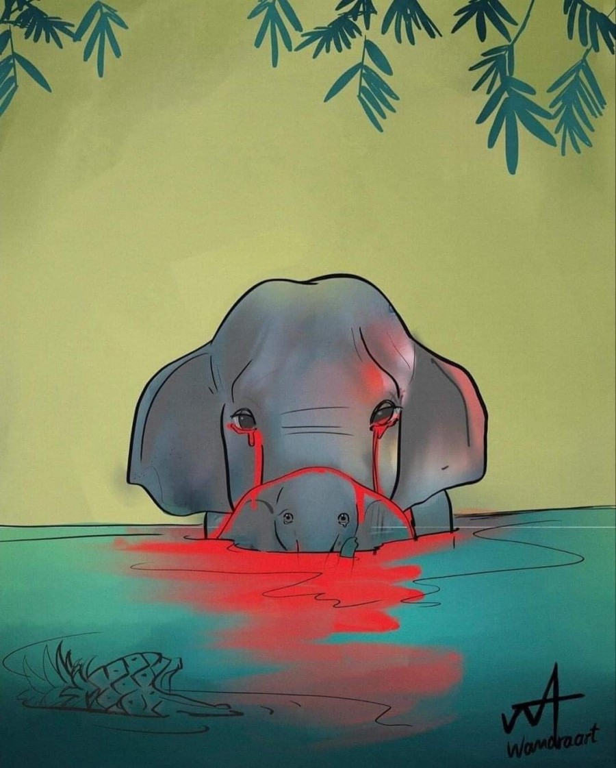 الفيل والأناناس المفخخ - رسوم احتجاجيّة على مواقع التواصل الاجتماعي