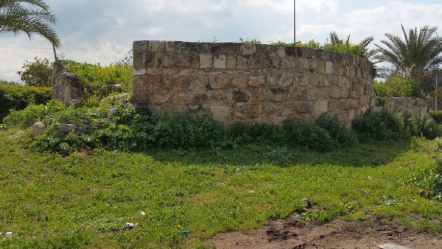 وصف الصورة غير متوفر