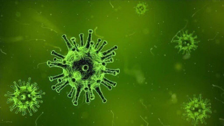 دراسة تكشف كم من الوقت يصمد فيروس كورونا على جلد الإنسان