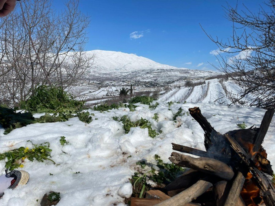 الثلوج في الجولان المحتل - تصوير الاتحاد
