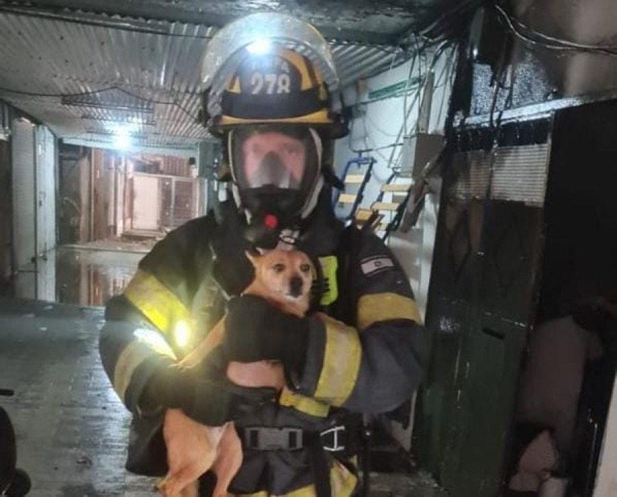 إصابة 8 أشخاص في حريق في حيفا